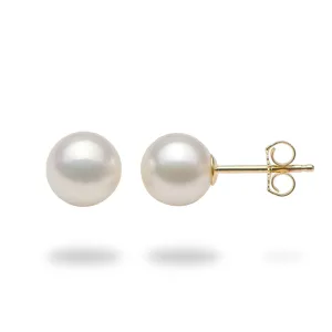 Akoya White Pearl Earrings in Gold - 7-7.5mm