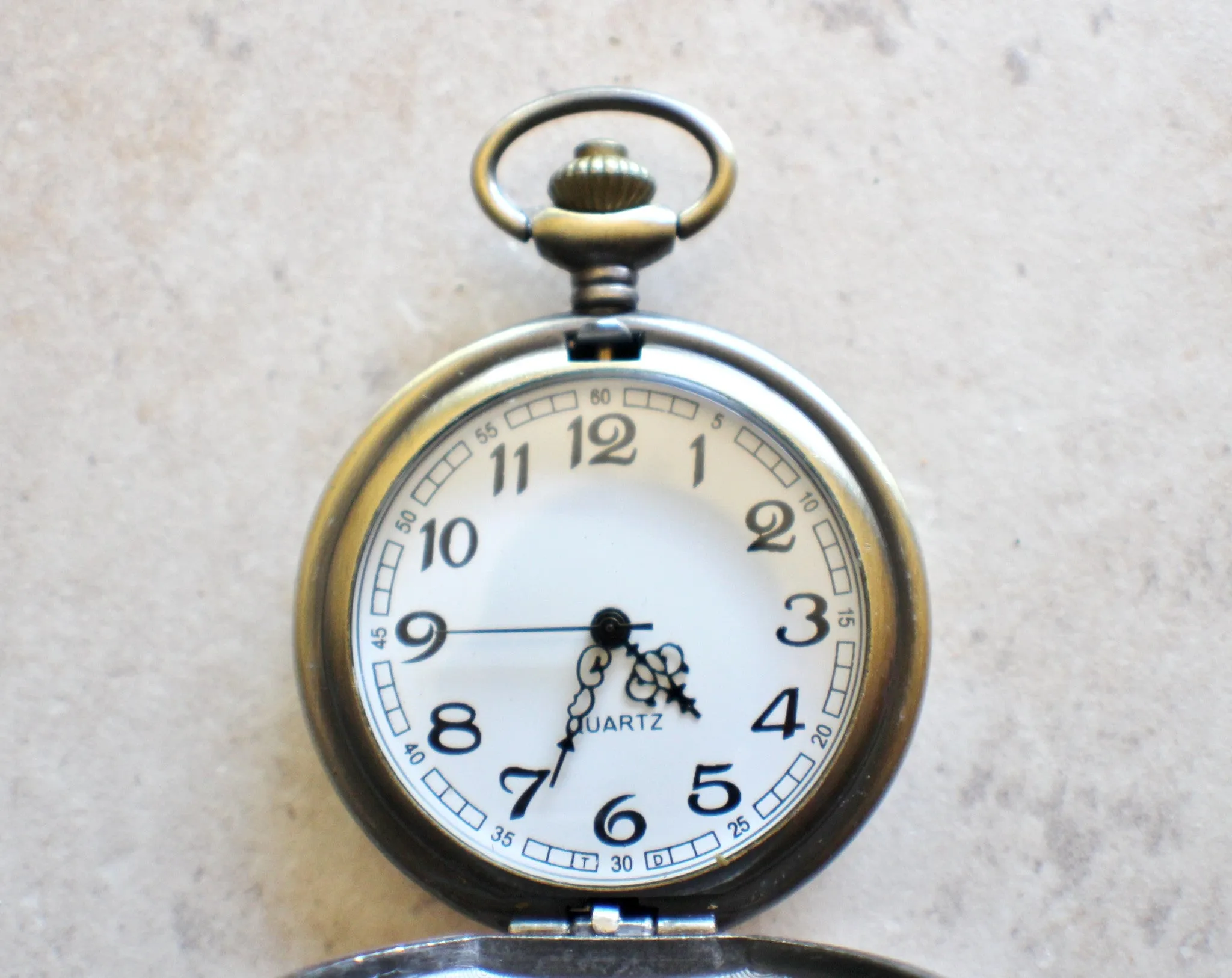 Armadillo pocket watch, mens pocket watch with armadillo mounted on front case