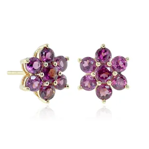 Aurora Earrings in Garnets