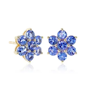 Aurora Earrings in Tanzanite