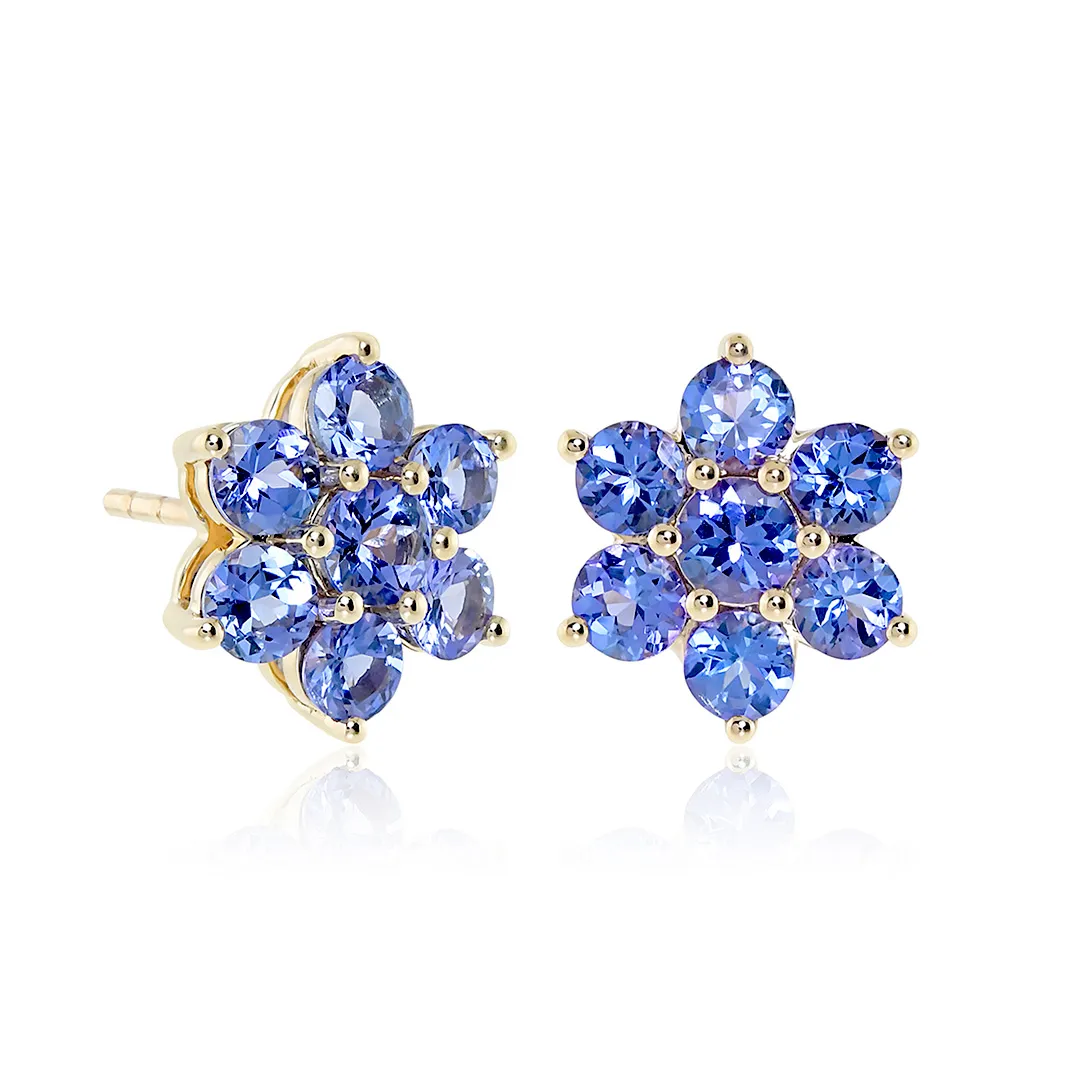 Aurora Earrings in Tanzanite