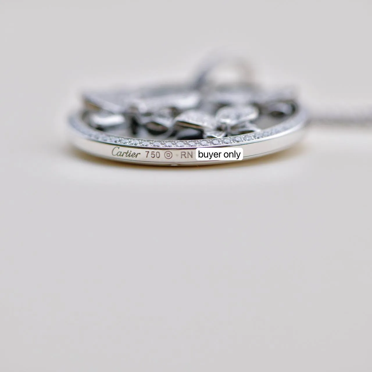 Cartier Caresse D'Orchidees Par Cartier Diamond 18K White Gold Black Onyx Round Pendant Necklace