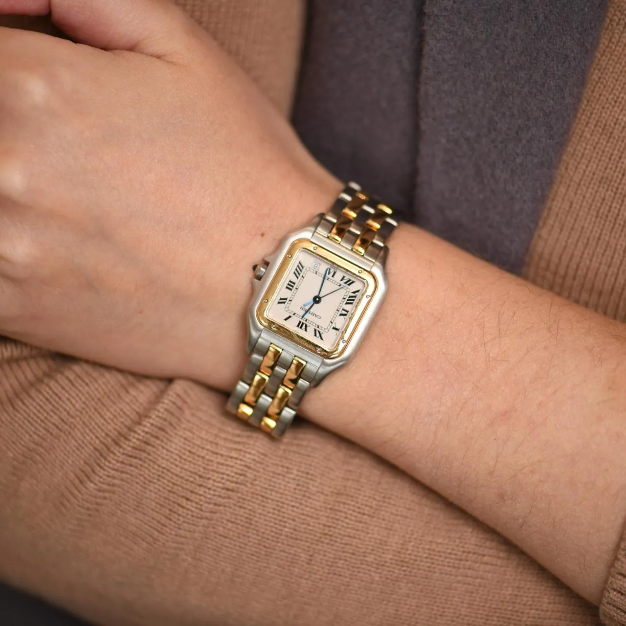 Cartier Panth??re Medium Model Steel 18k Yellow Gold Watch W2PN0007