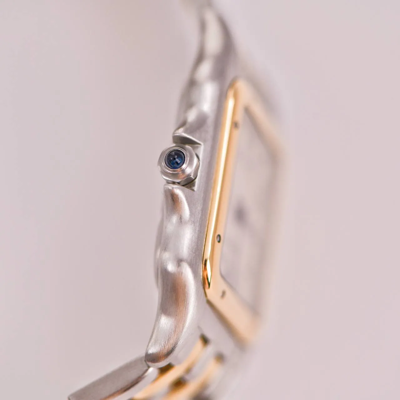 Cartier Panth??re Medium Model Steel 18k Yellow Gold Watch W2PN0007