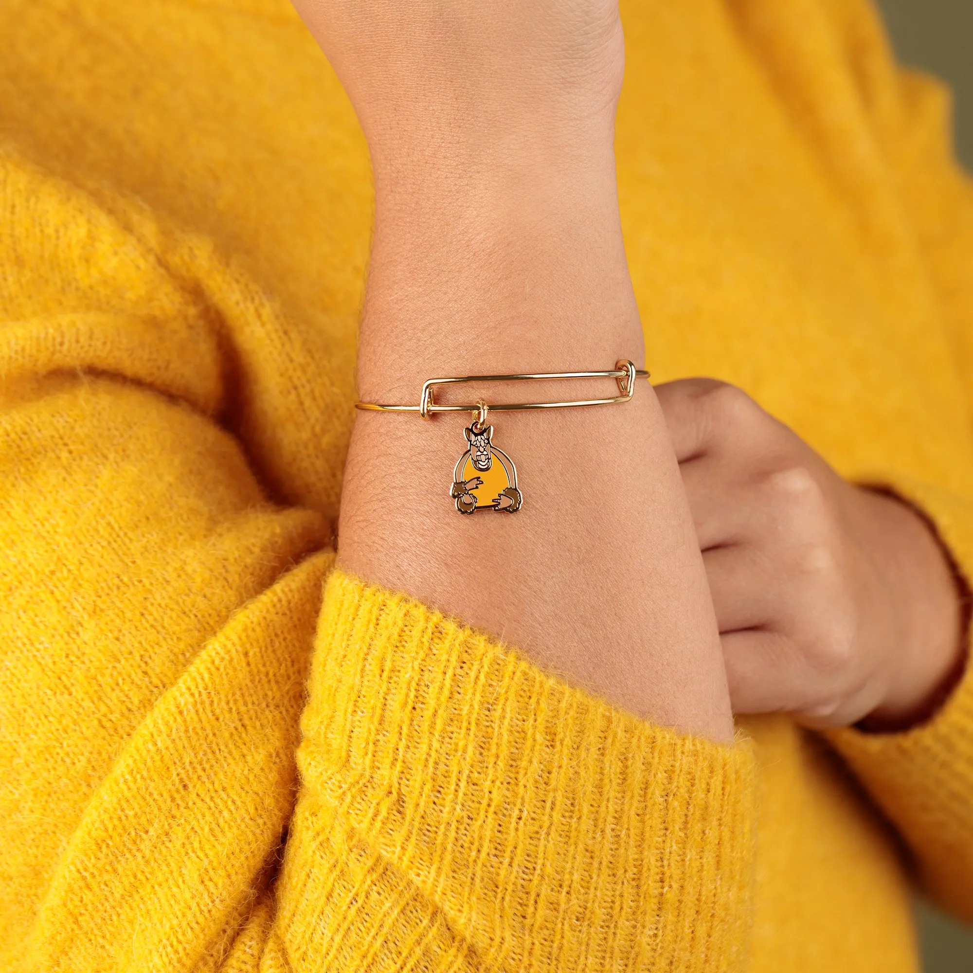 FRIENDS? Holiday Armadillo Charm Bangle