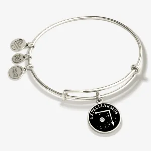Harry Potter? 'Expelliarmus' Charm Bangle Bracelet