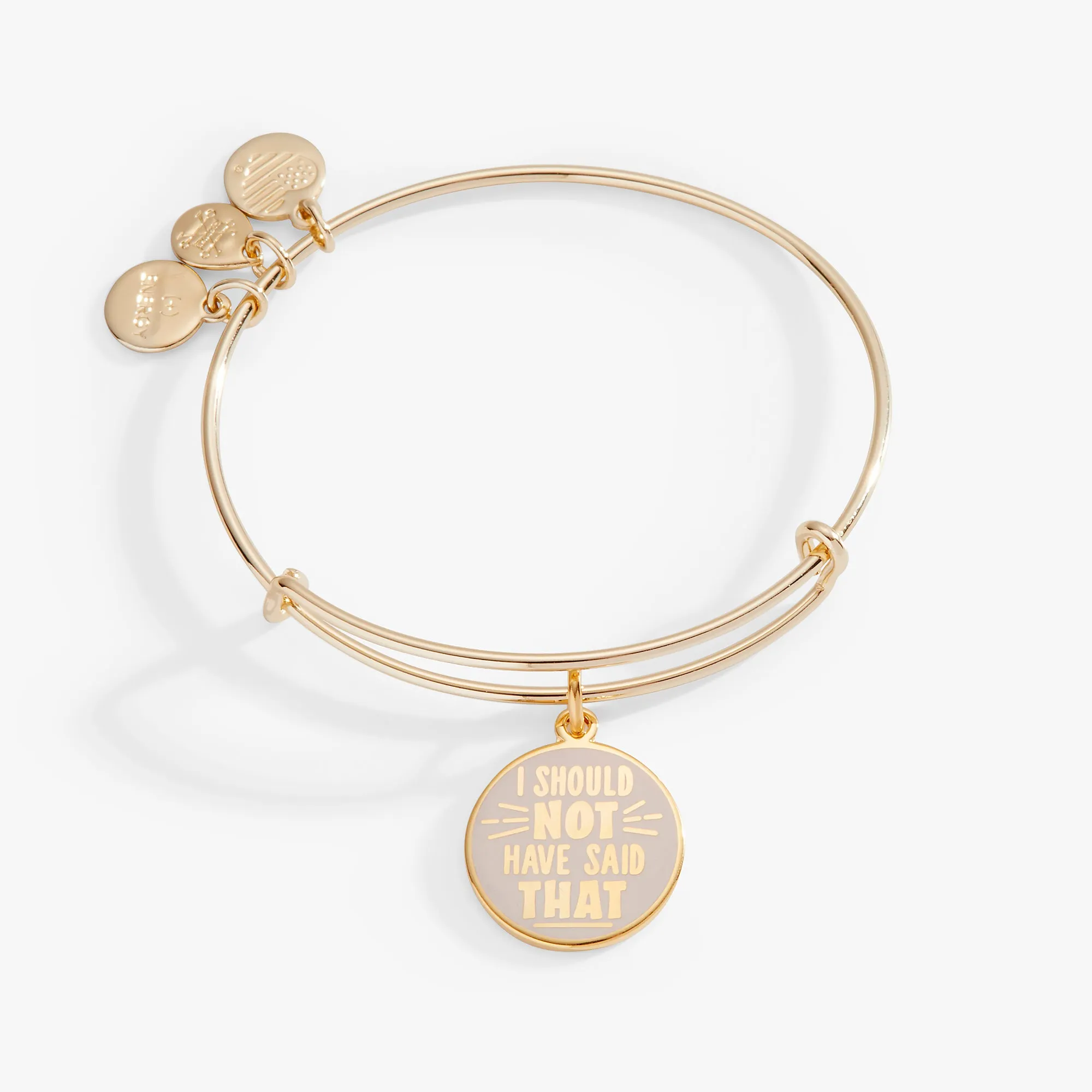 Harry Potter? Hagrid 'I Should Not Have Said That' Charm Bangle Bracelet